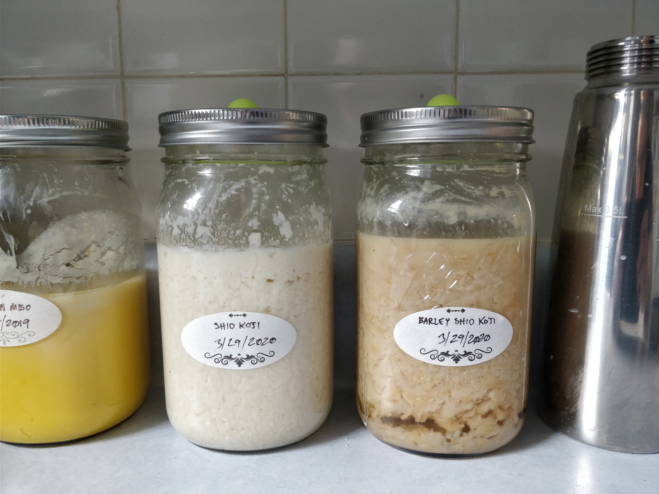 two mason jars side by side, one labeled "siho koji" and the other "barley shio koji"