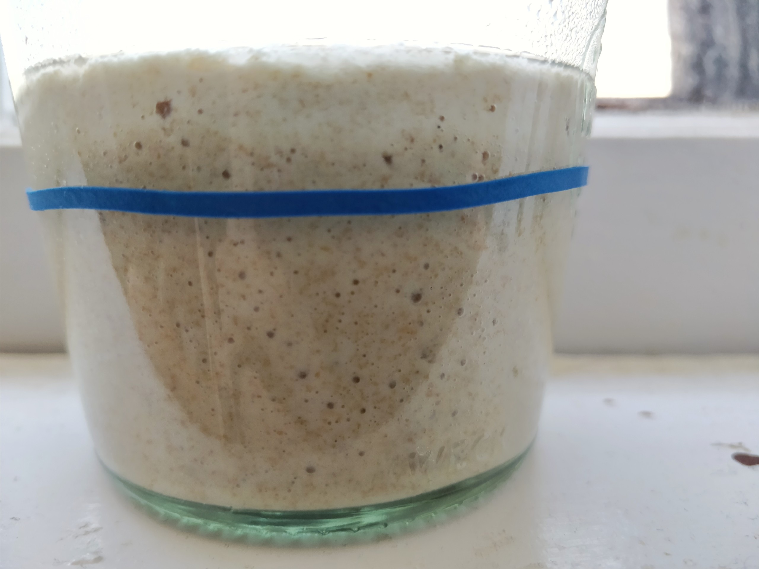 Closeup of sourdough starter from the side of the jar reveals tiny bubbles.