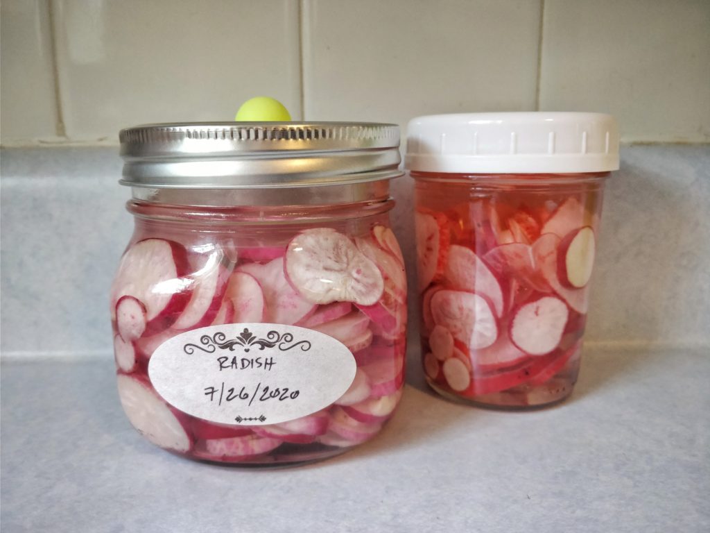 Sliced radishes in two jars, one for lactofermentation and one for the fridge.