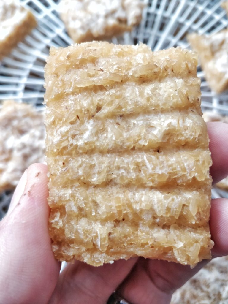 White strands of koji hyphae are visible on the bottom of the deyhdrated toasted rice koji.