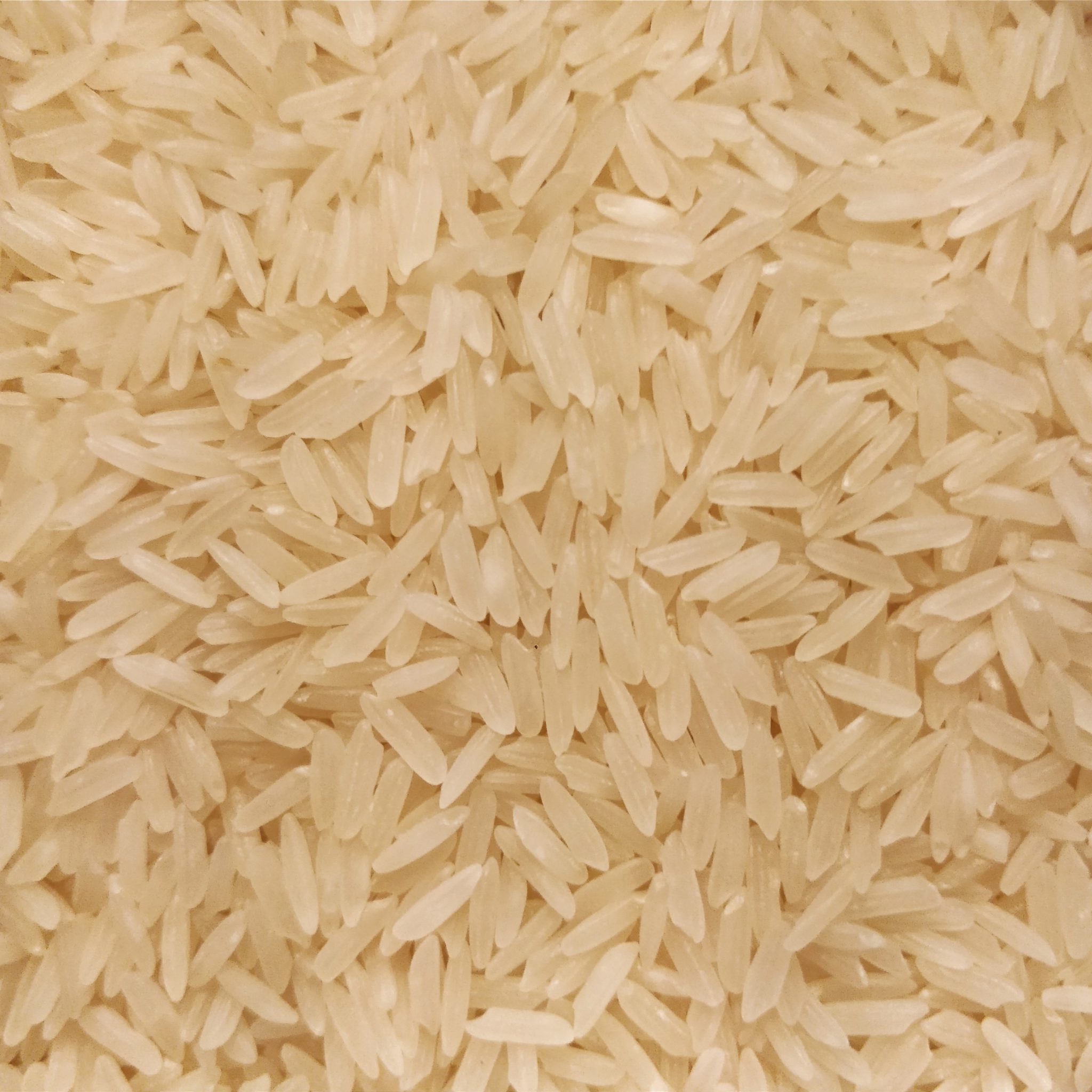 Toasted Rice Koji Treats Crock of Time