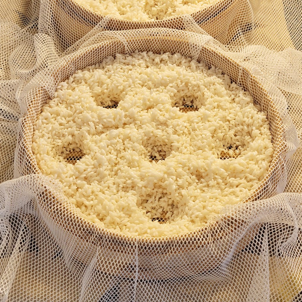 A bamboo steamer tray lined with a nylon mesh and filled with rice. Six holes are drilled through the rice.