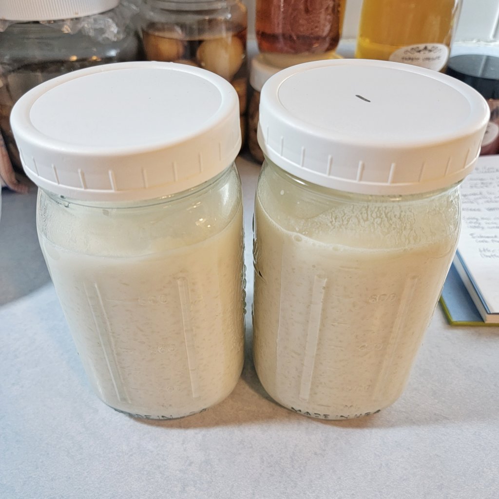 Two jars of rice water, one is has a simple tick mark on the lid.