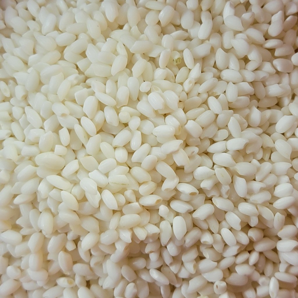Glutinous rice, opaque, chalky white in appearance.