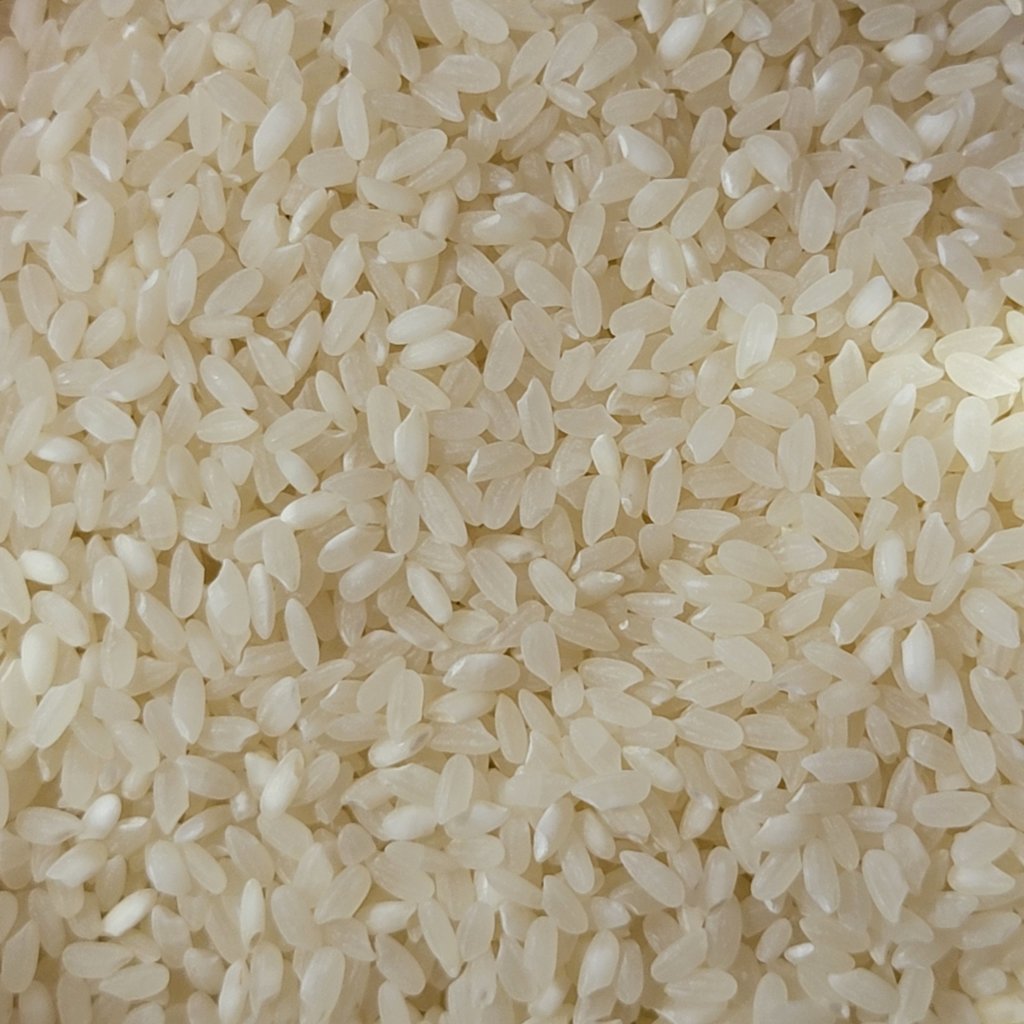 Standard rice, slightly translucent in appearance.