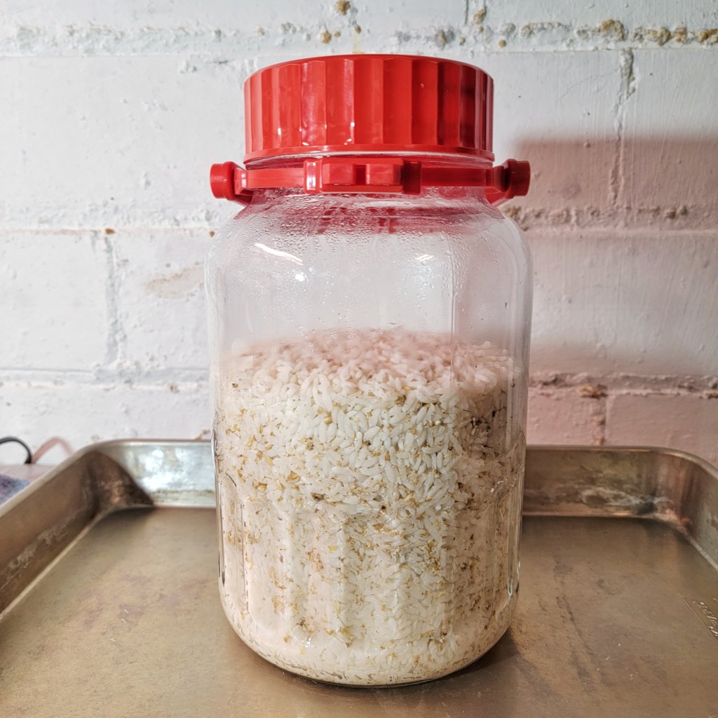 Photo of the jar. The contents have expanded, each grain of rice is visibly fatter.