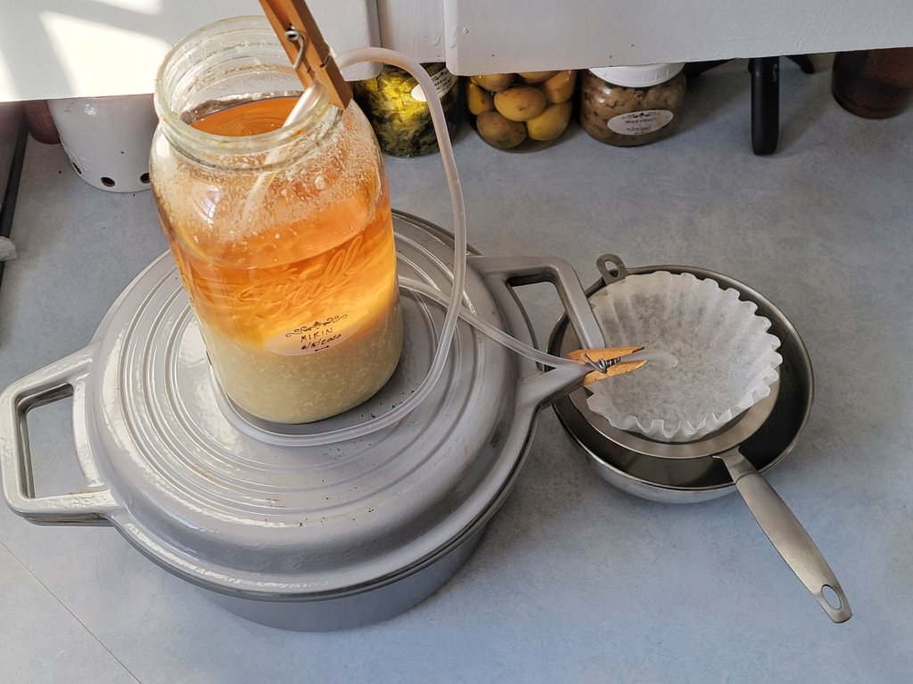 A siphon contraption: the jar on top of a dutch oven has a flexible tube stuck inside attached via clothespin, the other end pointing out over a bowl set lower on the counter, with a strainer lined with a coffee filter set inside.