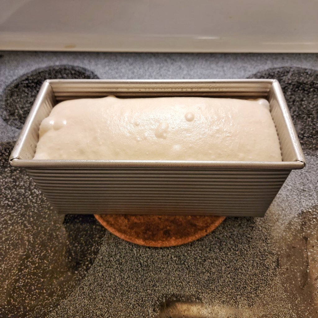 Pullman pan is about 80% full of bubbly dough.