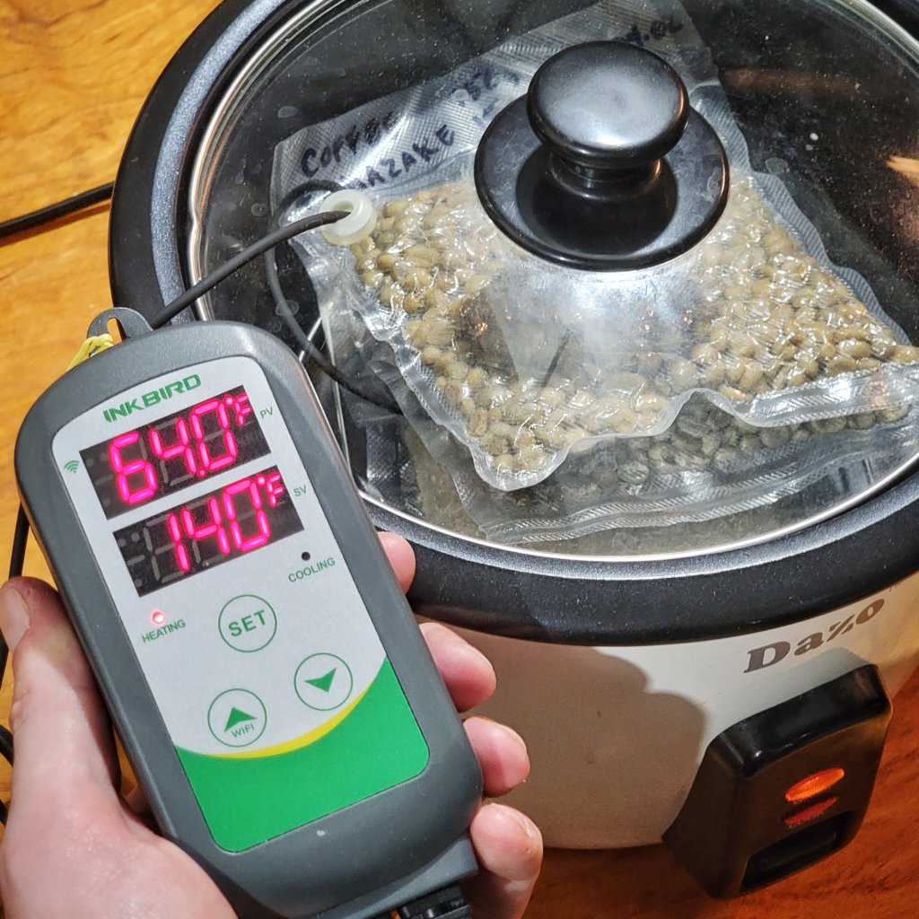 Bags of green coffee and koji inside a rice cooker attached to an Inkbird.