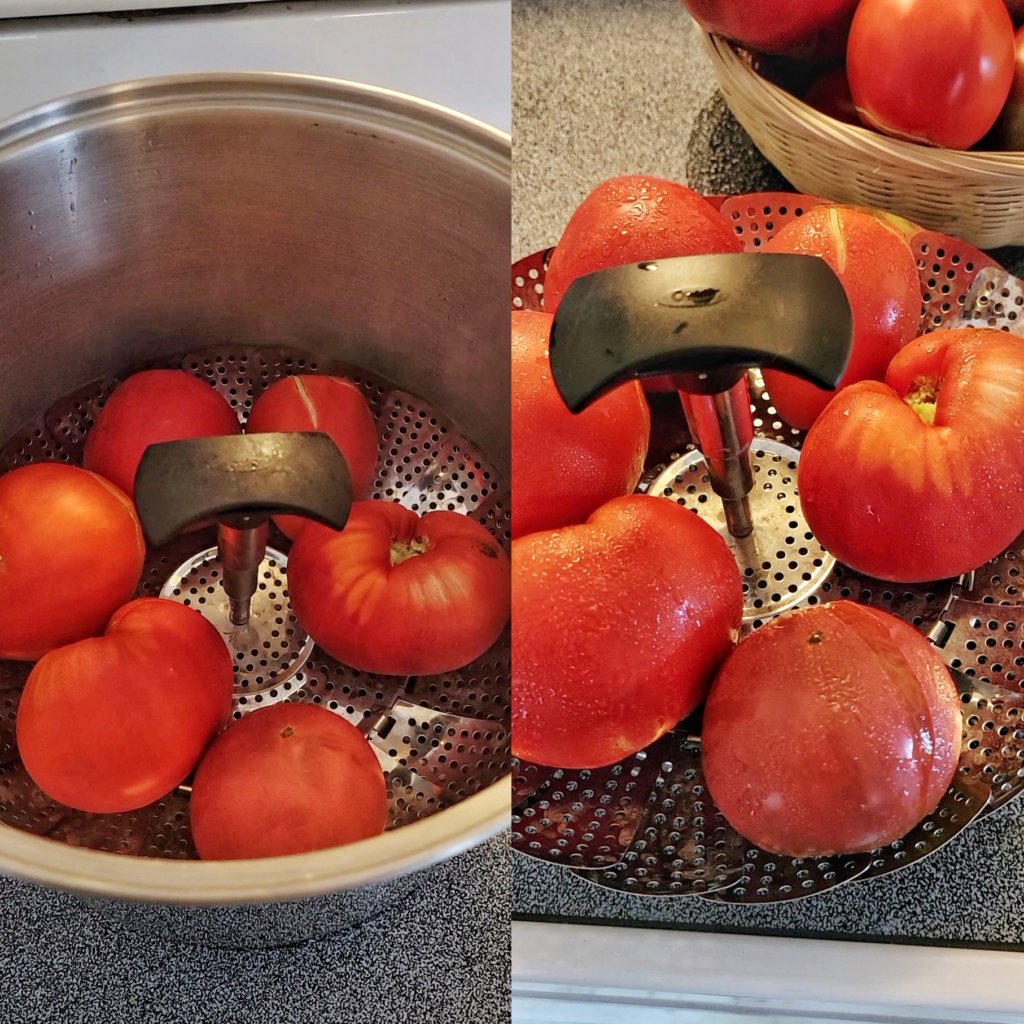 Tomatoes before and after steaming. Two of the six have the skin visibly split open after.