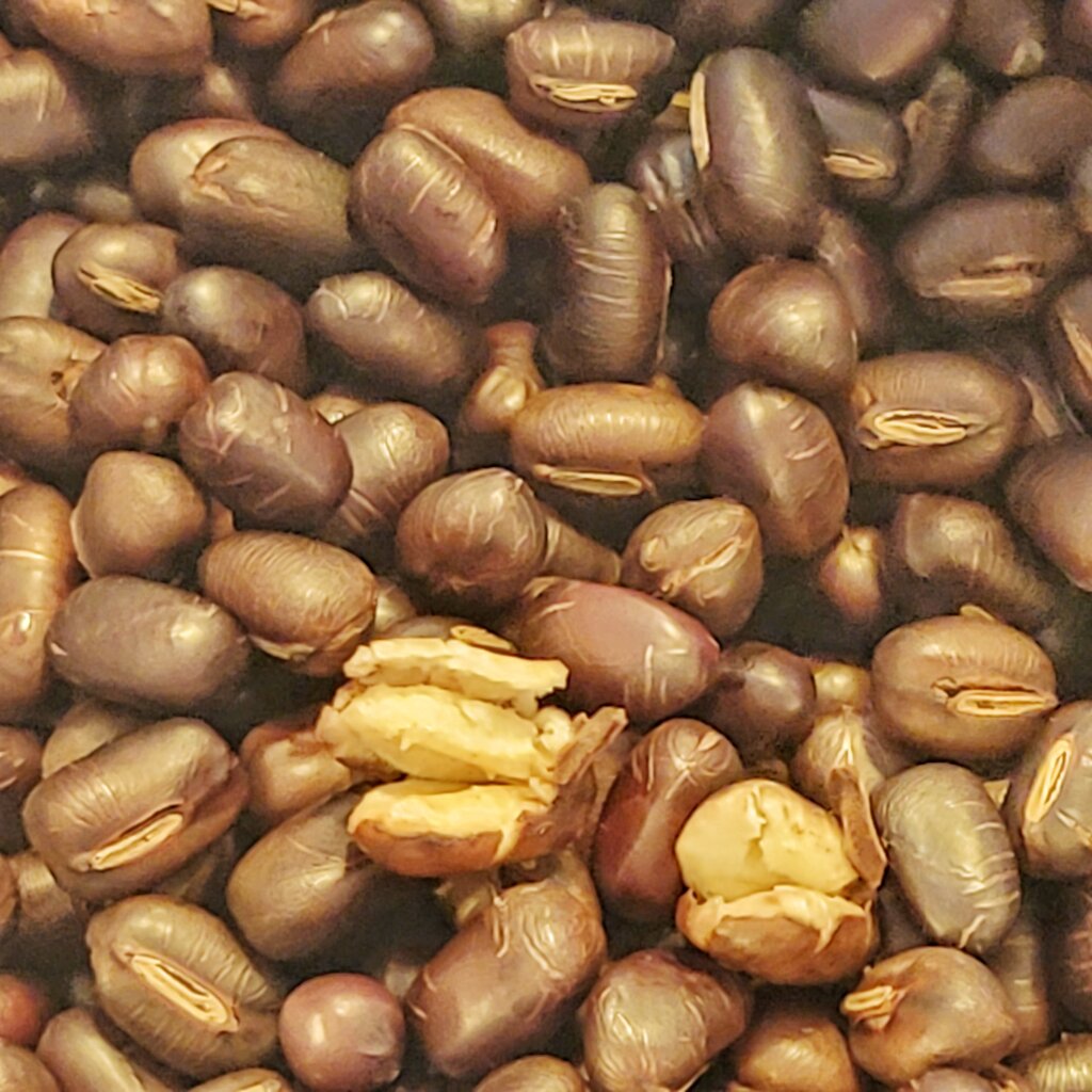 Close-up photo of the adzuki beans after cooking. Most have a wrinkly appearance, some are broken open. They mostly look yellowish brown instead of their original reddish hue.