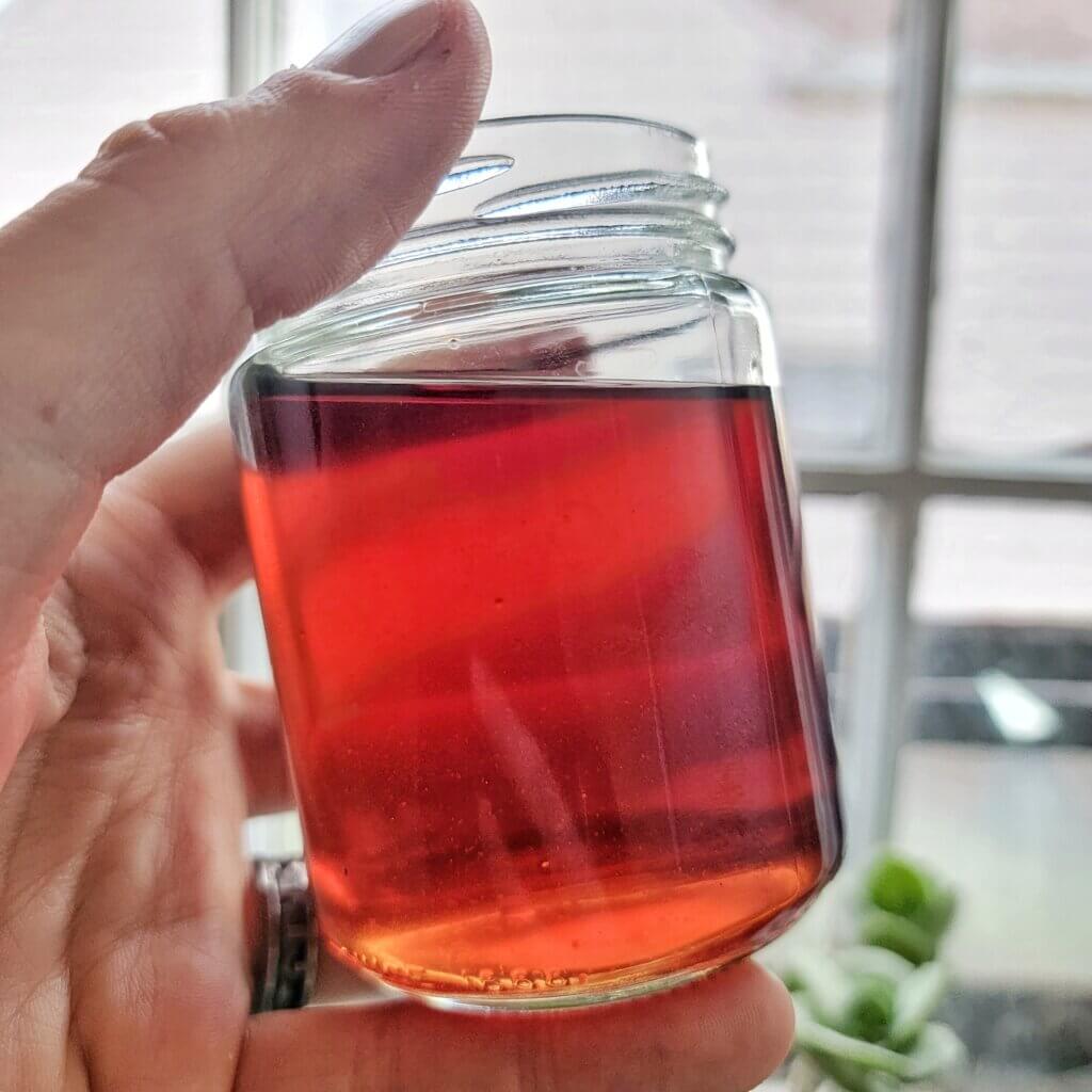 Photo of rendered fat in a jar held up to the light of a window. It is a deep burgundy, like a glass of good wine.