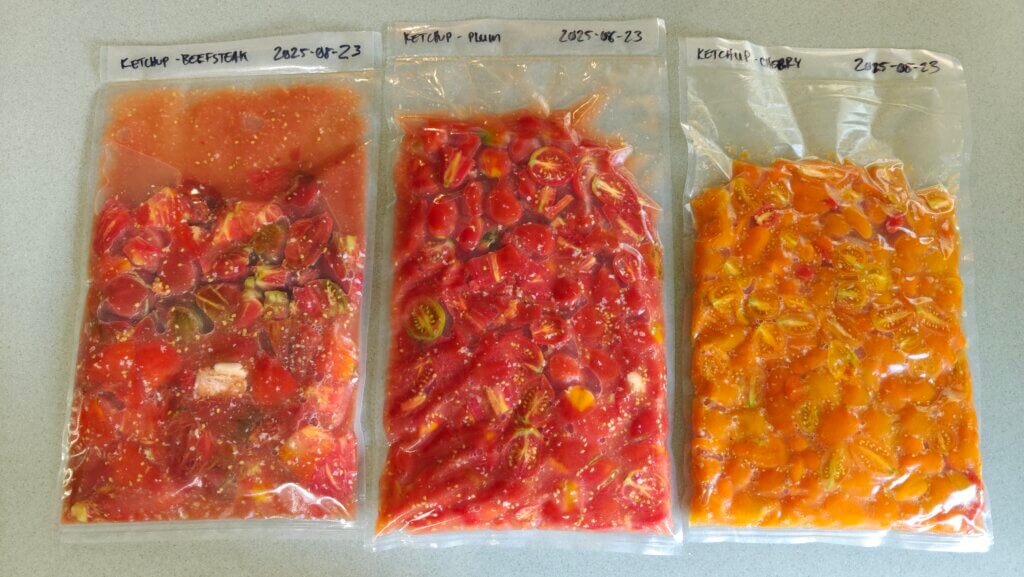 V3 vacuum bags each about 2/3 full of different tomatoes. Bag 1 is filled with brownish red tomato chunks and has the most free liquid in it, bag 2 is filled with mostly neatly halved plum-sized red tomatoes, and bag 3 is full of halved orange cherry tomatoes.