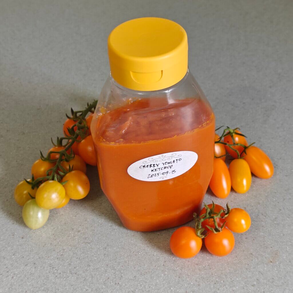 A bottle of orange ketchup surrounded by orange and yellow cherry tomatoes still on the vine.